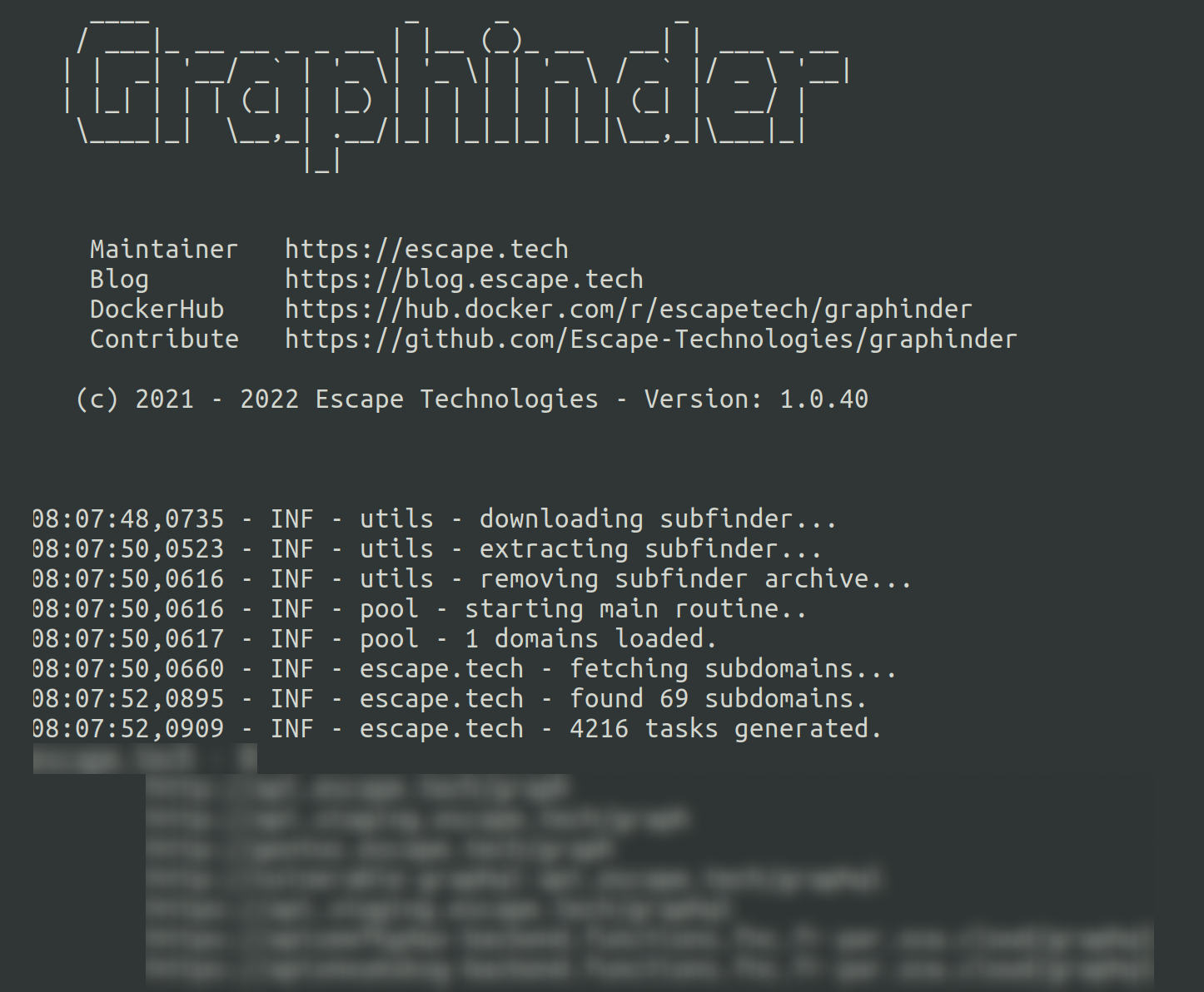 Graphinder: lightweight and blazing fast GraphQL endpoint finder