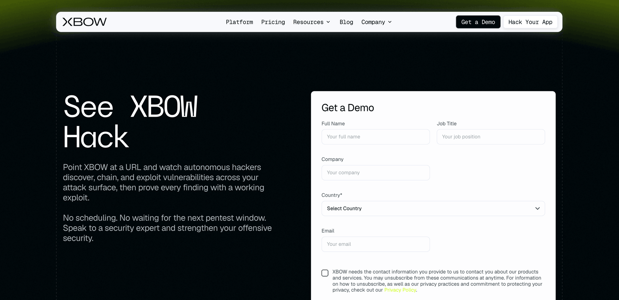 XBOW Demo Page