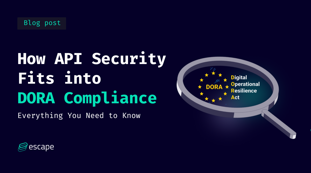 How API Security Fits into DORA Compliance: Everything You Need to Know