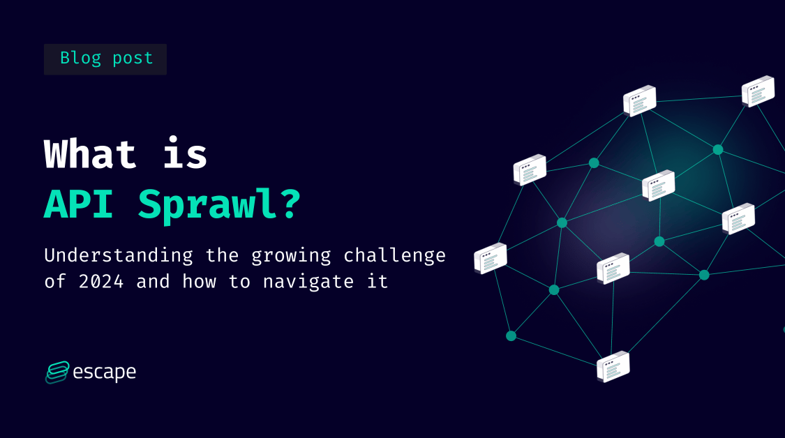 What is API Sprawl? Understanding the growing challenge of 2024 and how to navigate it