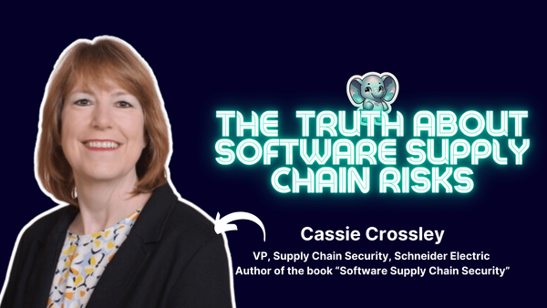 Software Supply Chain Risks ⎪Cassie Crossley (VP Supply Chain Security, Schneider Electric)